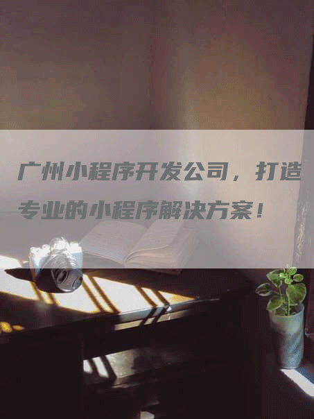 广州小程序开发公司，打造专业的小程序解决方案！