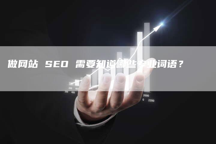 做网站 SEO 需要知道哪些专业词语？