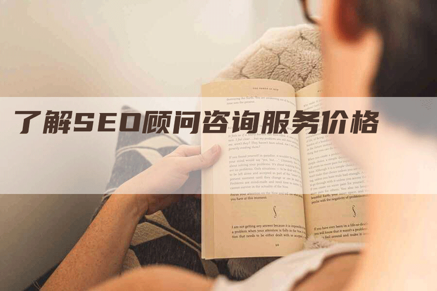 了解SEO顾问咨询服务价格