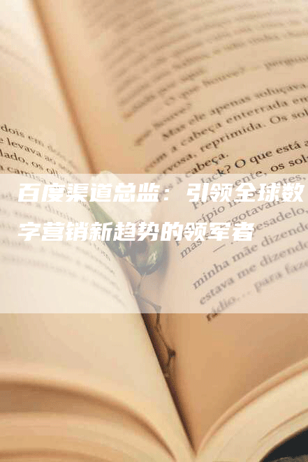 百度渠道总监：引领全球数字营销新趋势的领军者-网站排名优化网