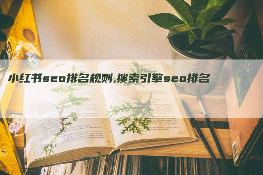 小红书seo排名规则,搜索引擎seo排名