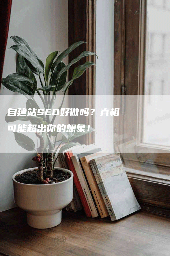 自建站SEO好做吗？真相可能超出你的想象！-网站排名优化网