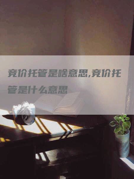 竞价托管是啥意思,竞价托管是什么意思-网站排名优化网