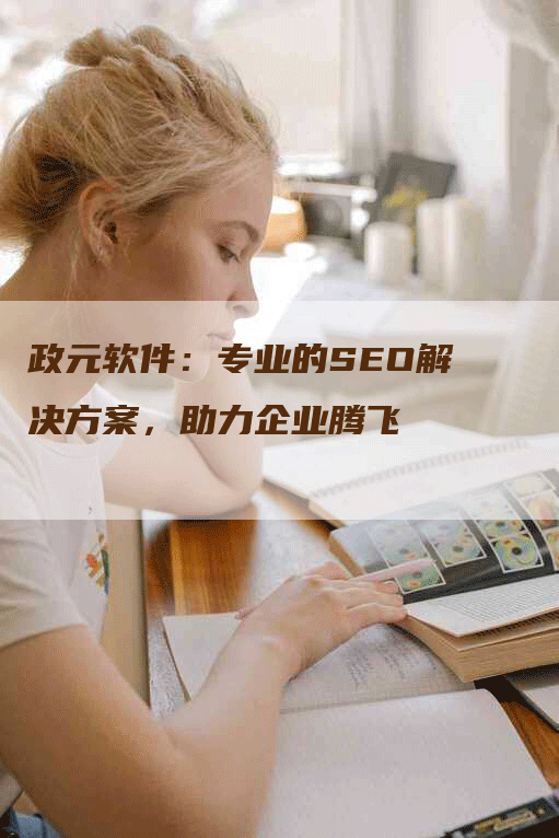 政元软件：专业的SEO解决方案，助力企业腾飞-网站排名优化网