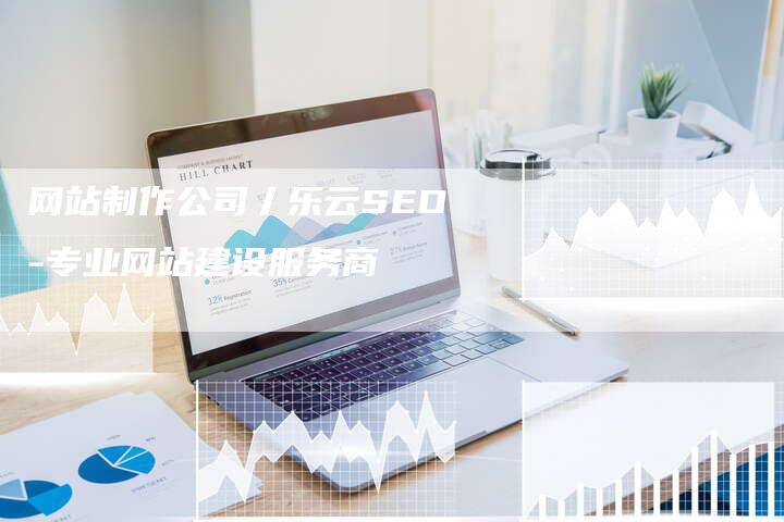 网站制作公司丿乐云SEO-专业网站建设服务商-网站排名优化网