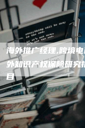 海外推广经理,跨境电商海外知识产权保险研究推广项目-网站排名优化网