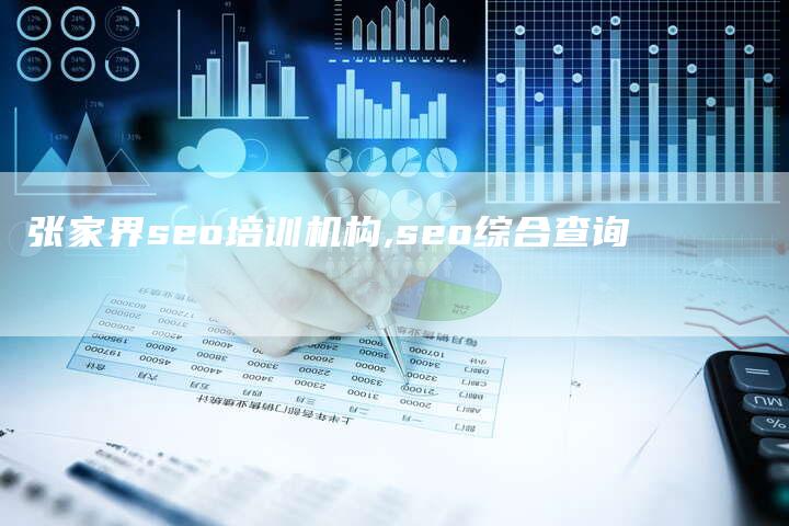 张家界seo培训机构,seo综合查询