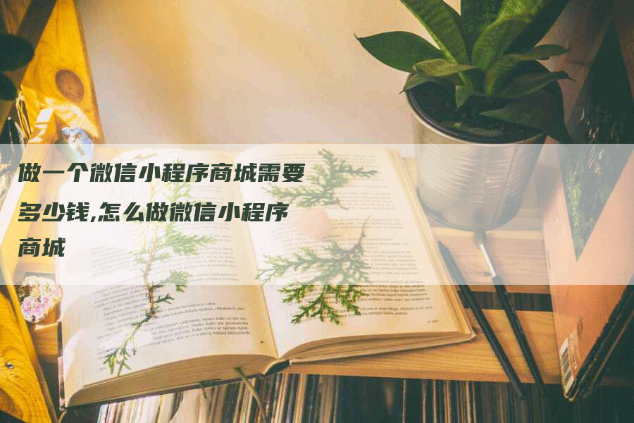 做一个微信小程序商城需要多少钱,怎么做微信小程序商城