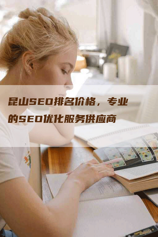 昆山SEO排名价格，专业的SEO优化服务供应商-网站排名优化网