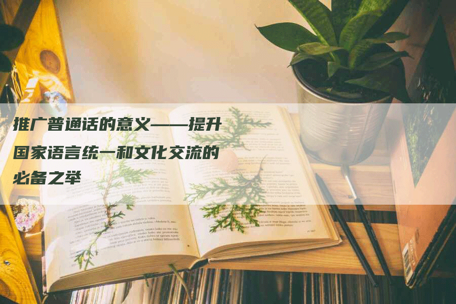 推广普通话的意义——提升国家语言统一和文化交流的必备之举-网站排名优化网