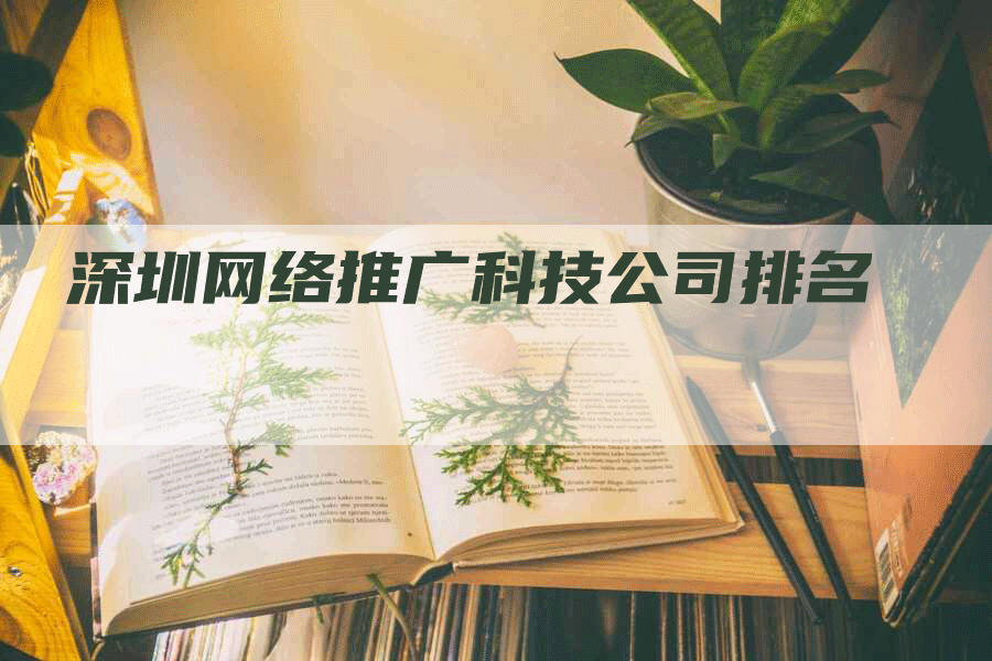 深圳网络推广科技公司排名-网站排名优化网