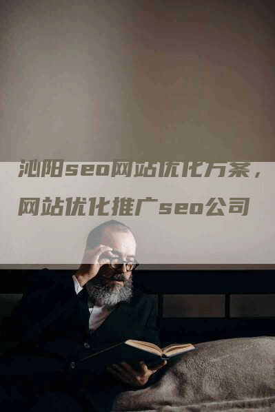 沁阳seo网站优化方案，网站优化推广seo公司