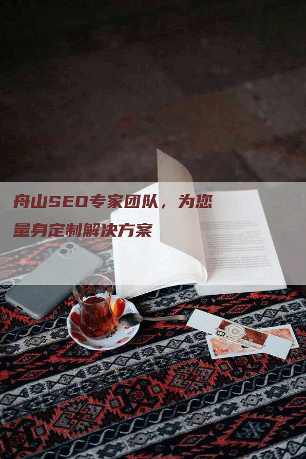 舟山SEO专家团队，为您量身定制解决方案-网站排名优化网