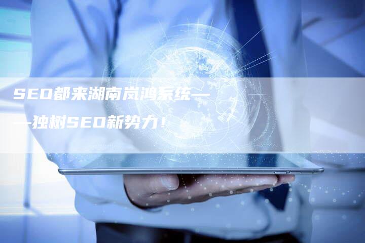 SEO都来湖南岚鸿系统——独树SEO新势力！-网站排名优化网