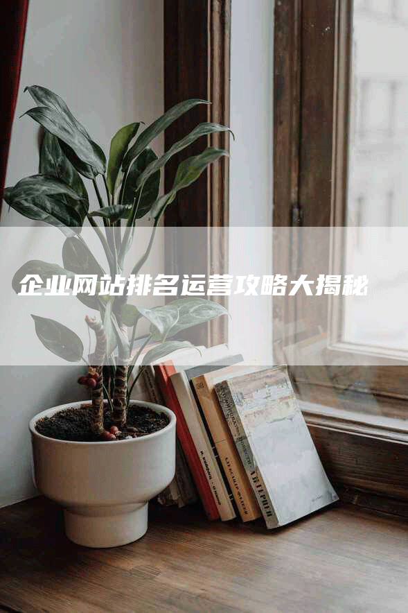 企业网站排名运营攻略大揭秘