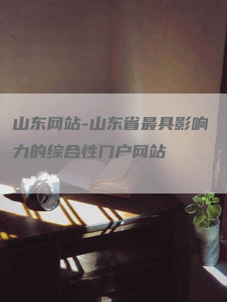 山东网站-山东省最具影响力的综合性门户网站-网站排名优化网