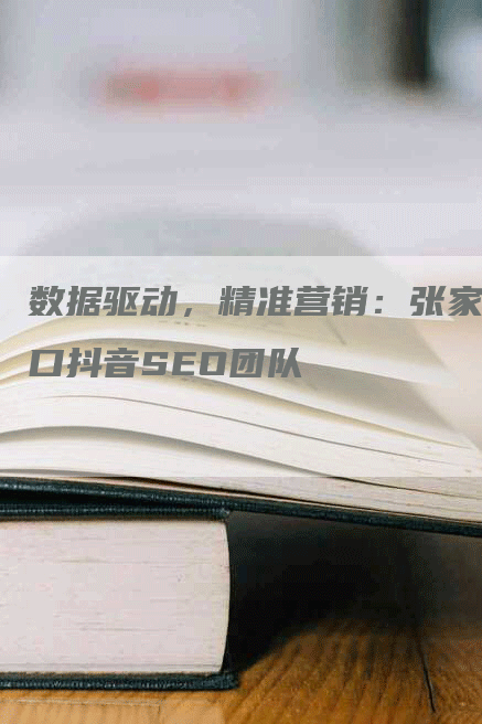 数据驱动，精准营销：张家口抖音SEO团队