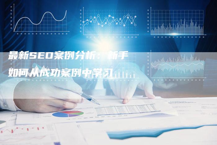 最新SEO案例分析：新手如何从成功案例中学习