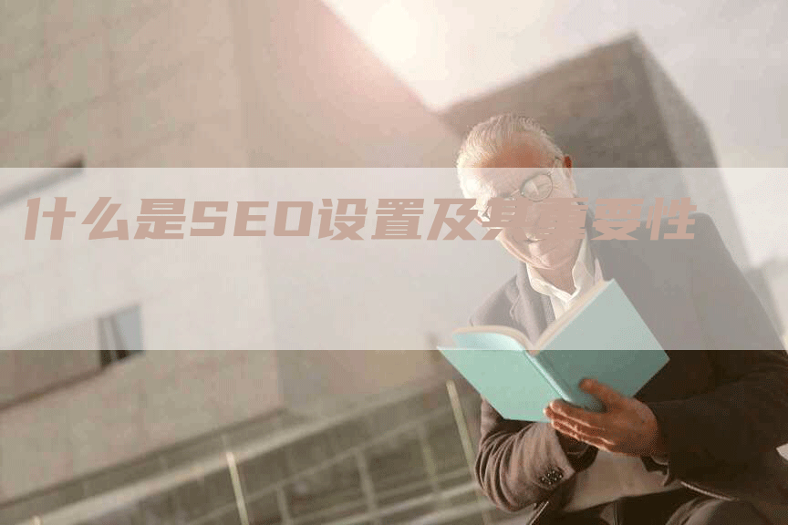 什么是SEO设置及其重要性-网站排名优化网