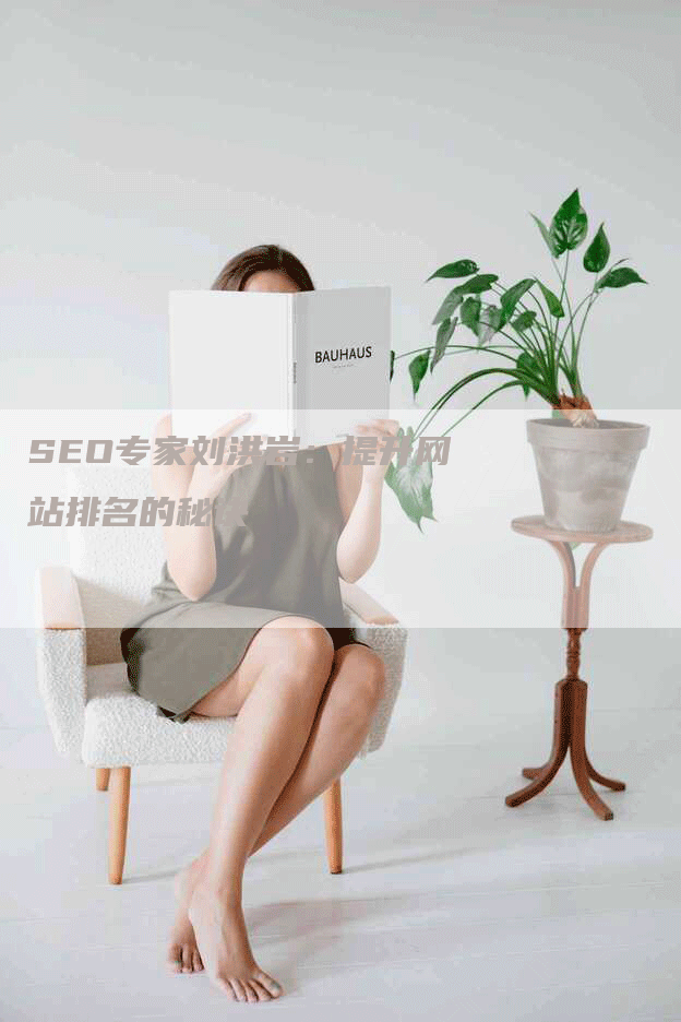 SEO专家刘洪岩：提升网站排名的秘诀