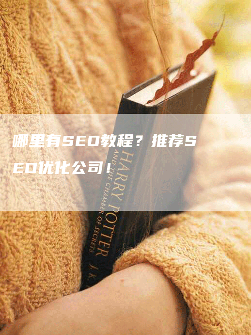 哪里有SEO教程？推荐SEO优化公司！-网站排名优化网