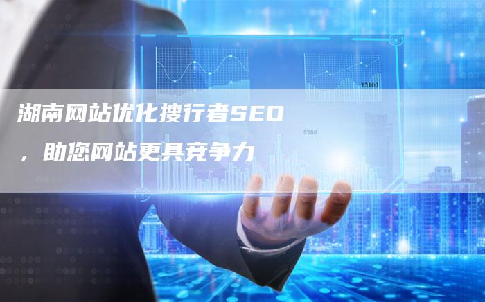 湖南网站优化搜行者SEO，助您网站更具竞争力