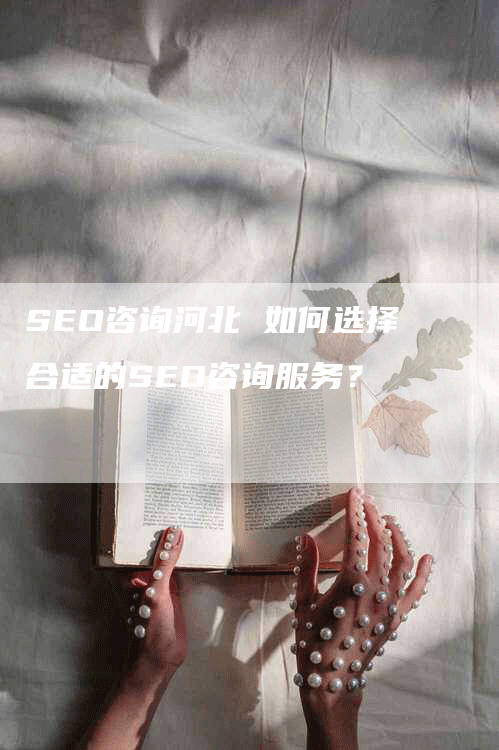 SEO咨询河北 如何选择合适的SEO咨询服务？-网站排名优化网