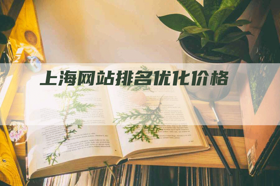 上海网站排名优化价格