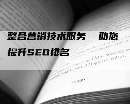 整合营销技术服务  助您提升SEO排名