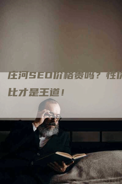 庄河SEO价格贵吗？性价比才是王道！-网站排名优化网