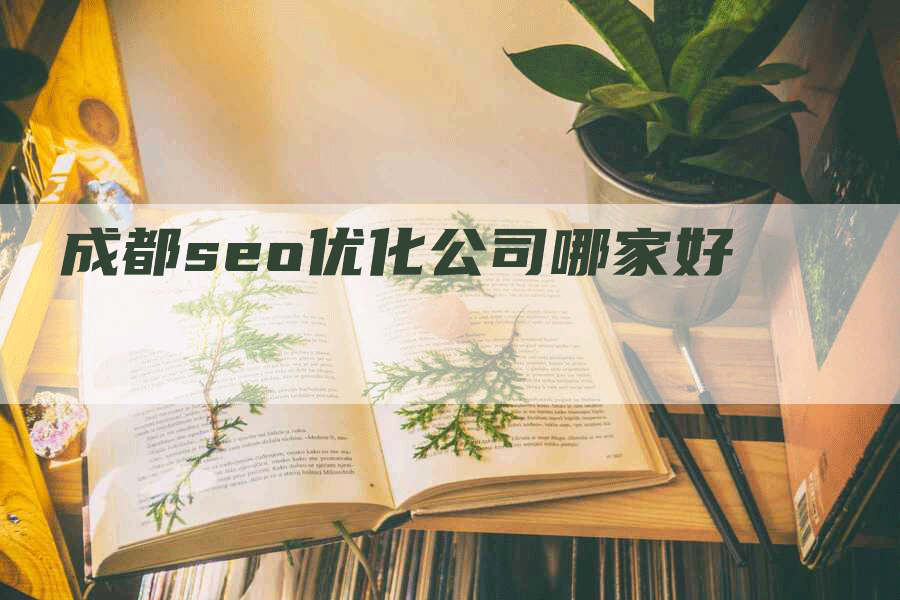 成都seo优化公司哪家好