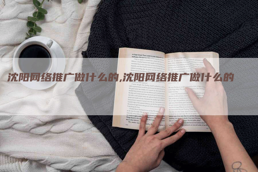 沈阳网络推广做什么的,沈阳网络推广做什么的