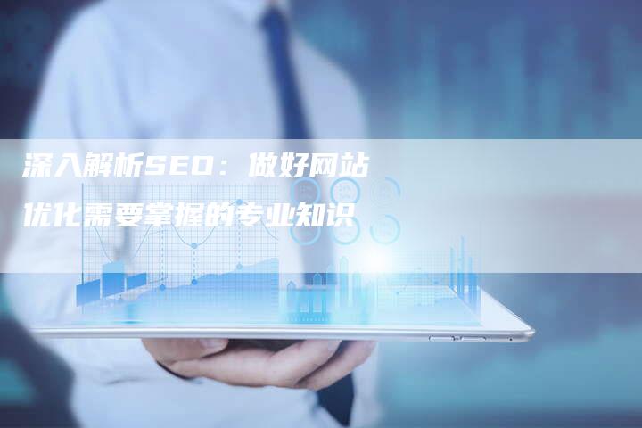 深入解析SEO：做好网站优化需要掌握的专业知识-网站排名优化网