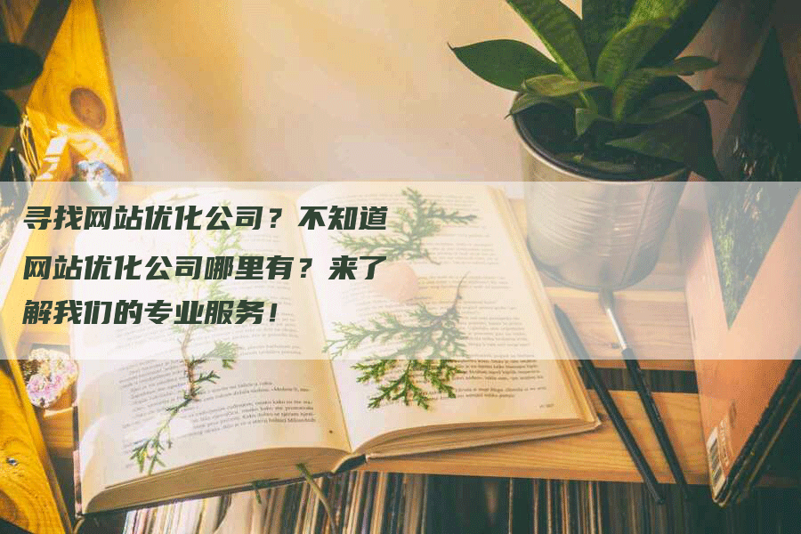 寻找网站优化公司？不知道网站优化公司哪里有？来了解我们的专业服务！