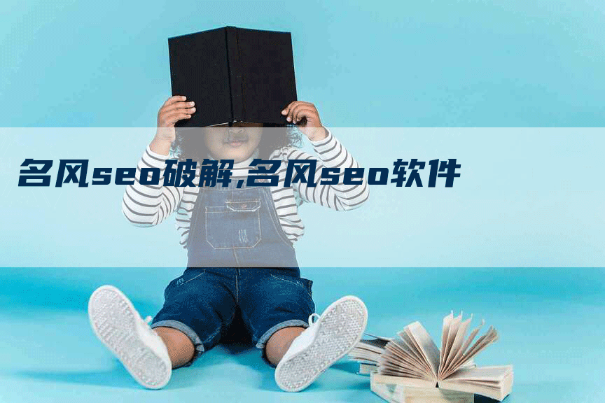 名风seo破解,名风seo软件