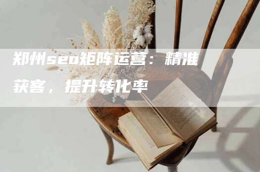 郑州seo矩阵运营：精准获客，提升转化率-网站排名优化网