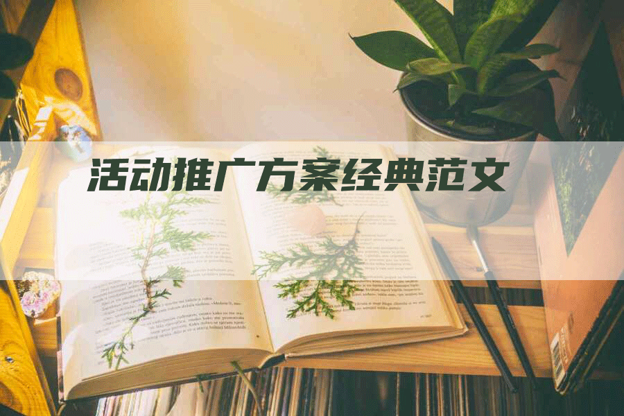 活动推广方案经典范文-网站排名优化网