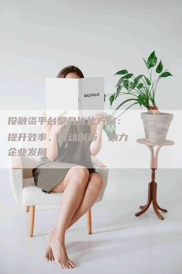 投融资平台整合优化方案：提升效率，推动创新，助力企业发展-网站排名优化网