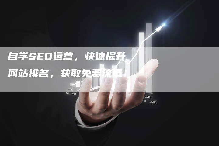 自学SEO运营，快速提升网站排名，获取免费流量！