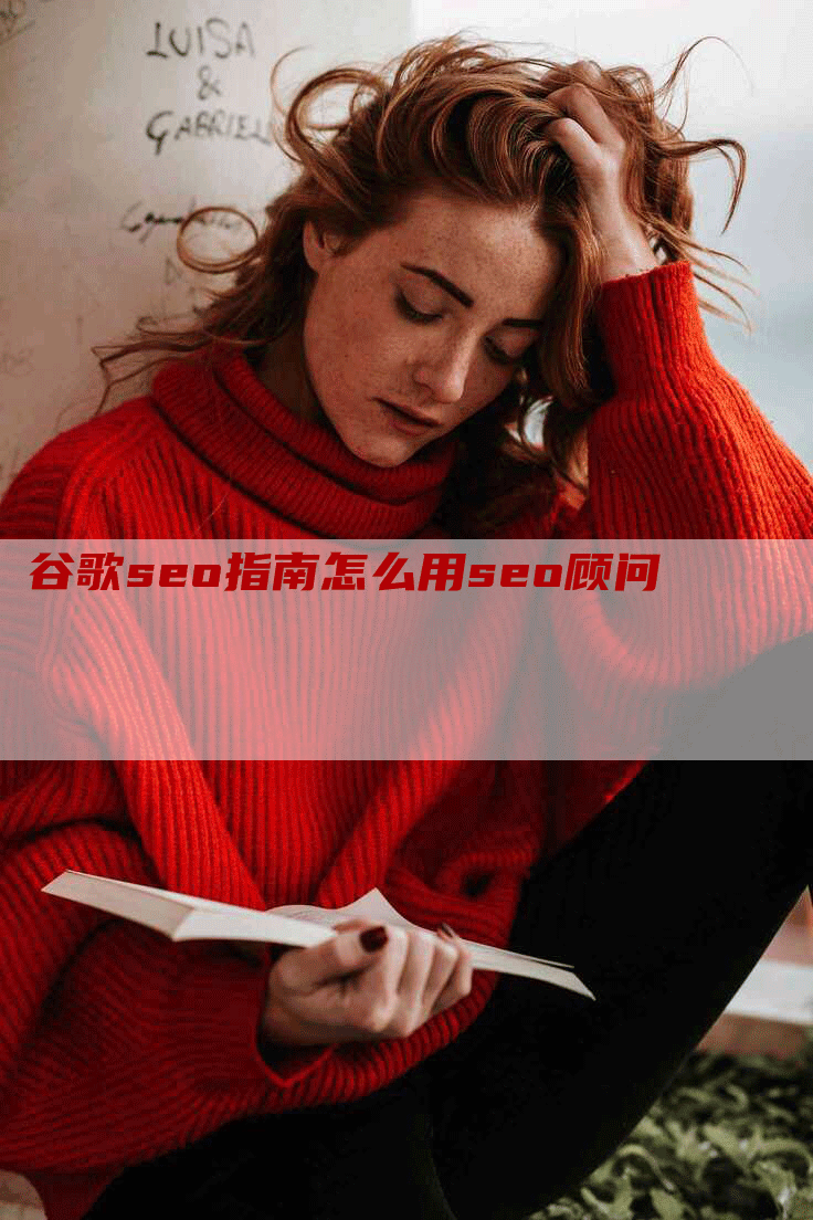 谷歌seo指南怎么用seo顾问