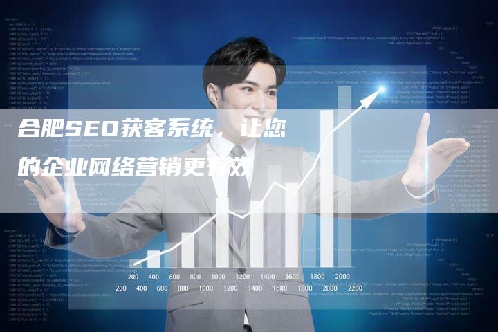 合肥SEO获客系统，让您的企业网络营销更有效-网站排名优化网