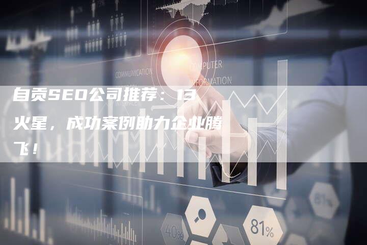 自贡SEO公司推荐：13火星，成功案例助力企业腾飞！