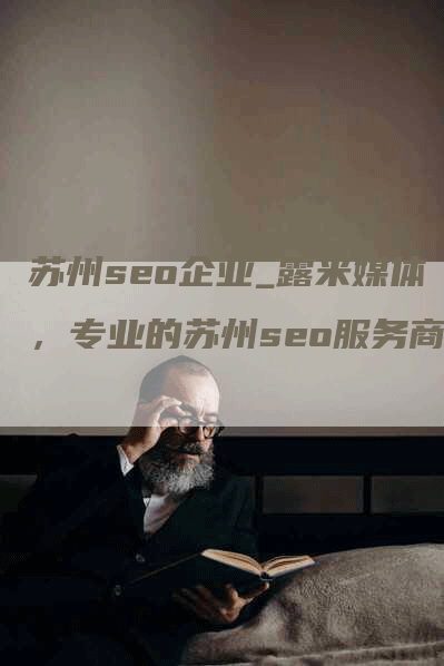 苏州seo企业_露米媒体，专业的苏州seo服务商