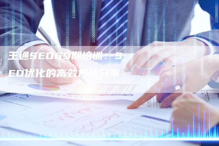 王通SEO69期培训：SEO优化的高效方法分享