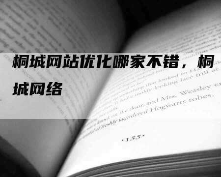 桐城网站优化哪家不错，桐城网络-网站排名优化网