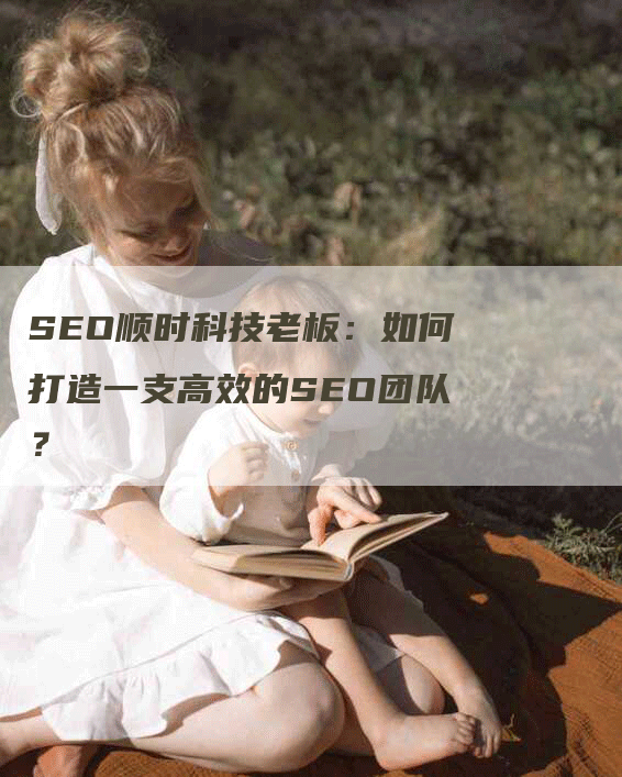 SEO顺时科技老板：如何打造一支高效的SEO团队？-网站排名优化网