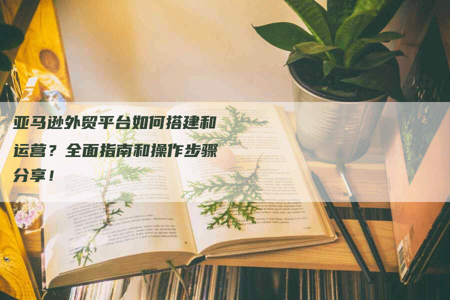 亚马逊外贸平台如何搭建和运营？全面指南和操作步骤分享！-网站排名优化网