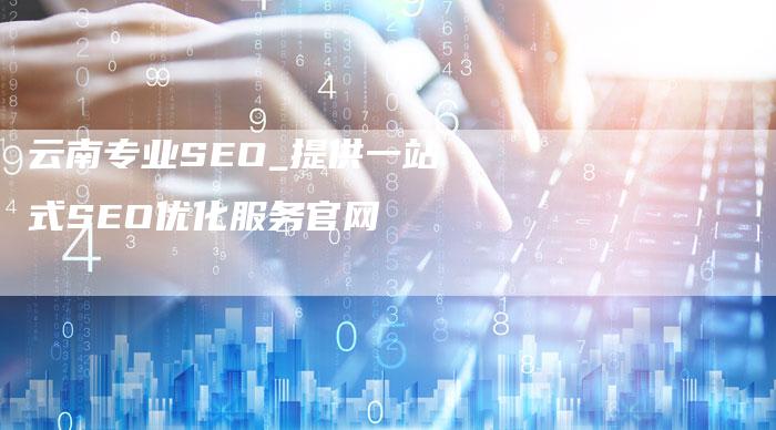 云南专业SEO_提供一站式SEO优化服务官网-网站排名优化网