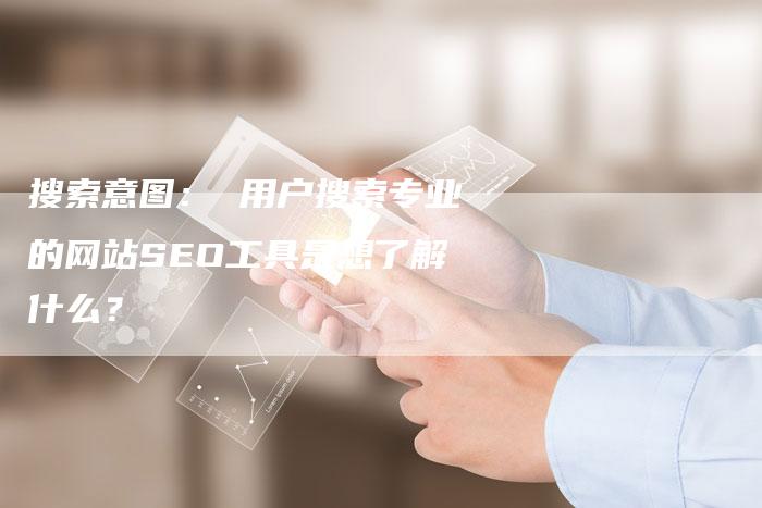 搜索意图： 用户搜索专业的网站SEO工具是想了解什么？