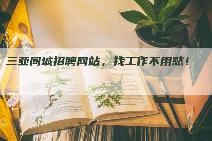 三亚同城招聘网站，找工作不用愁！-网站排名优化网